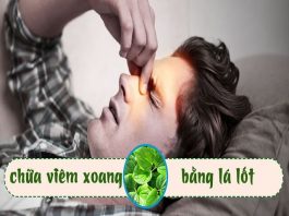 Bật mí 2 cách chữa bệnh viêm xoang bằng lá lốt an toàn và hiệu quả-1