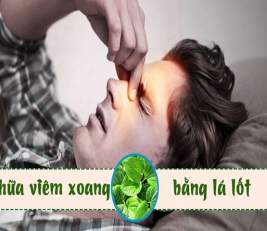 Bật mí 2 cách chữa bệnh viêm xoang bằng lá lốt an toàn và hiệu quả-1